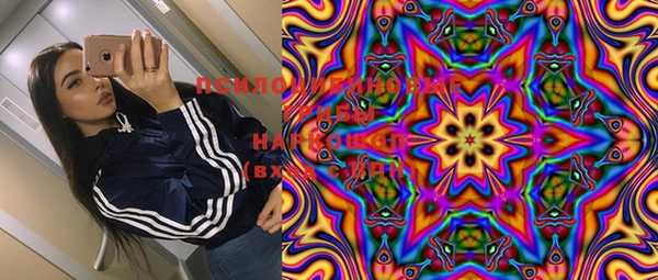 дживик Наволоки