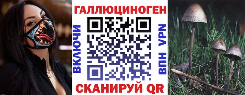 Купить  Старая Русса  Галлюциногенные грибы мицелий 
